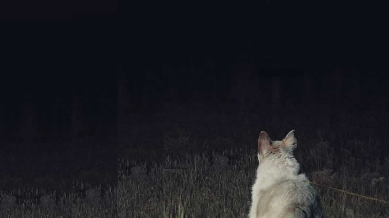 it-comes-at-night